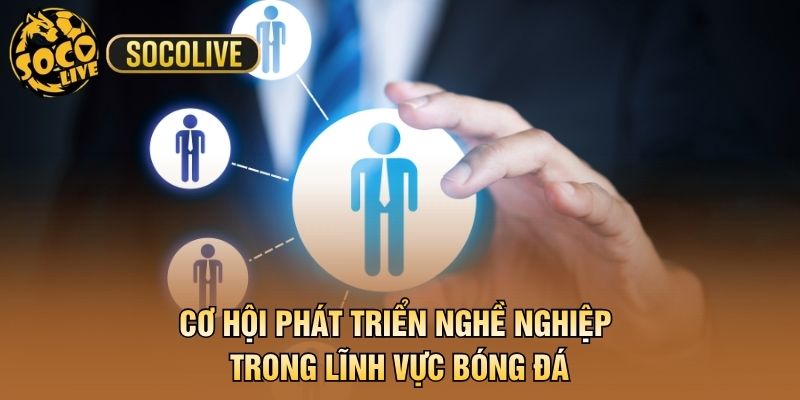 Cơ hội phát triển nghề nghiệp trong lĩnh vực bóng đá