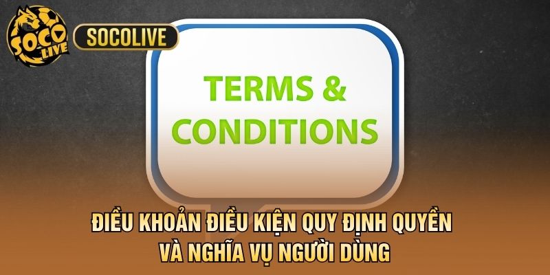 Điều khoản điều kiện quy định quyền và nghĩa vụ người dùng