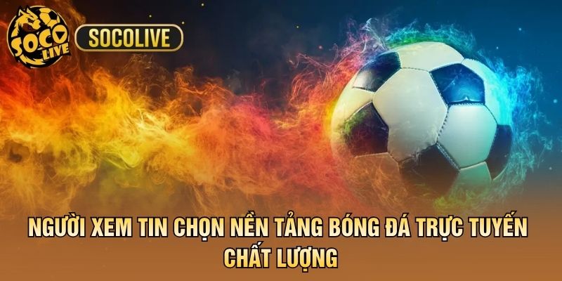 Người xem tin chọn nền tảng bóng đá trực tuyến chất lượng