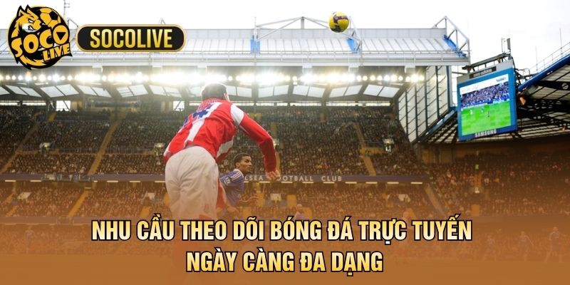 Nhu cầu theo dõi bóng đá trực tuyến ngày càng đa dạng