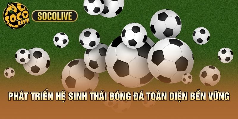 Phát triển hệ sinh thái bóng đá toàn diện bền vững