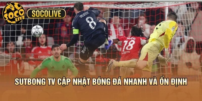 Sutbong TV cập nhật bóng đá nhanh và ổn định