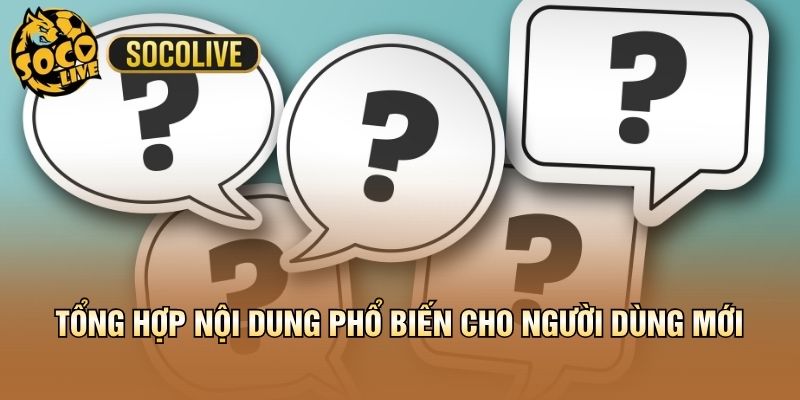 Tổng hợp nội dung phổ biến cho người dùng mới